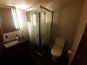 Un baño con ducha de vidrio, inodoro y lavabo con espejo.