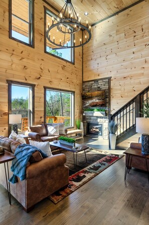 Smart TV, fireplace, video games, video library