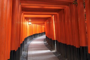Ein Gang, gesäumt von orangefarbenen Torii-Toren.