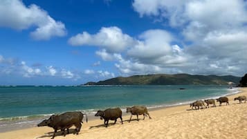 On the beach, white sand, free beach cabanas, sun-loungers