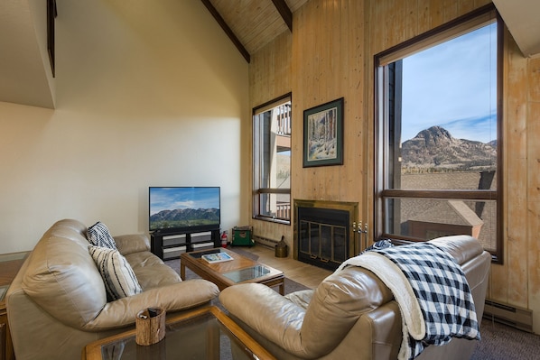 Smart TV, fireplace, books