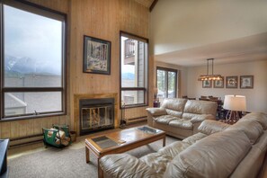 Smart TV, fireplace, books