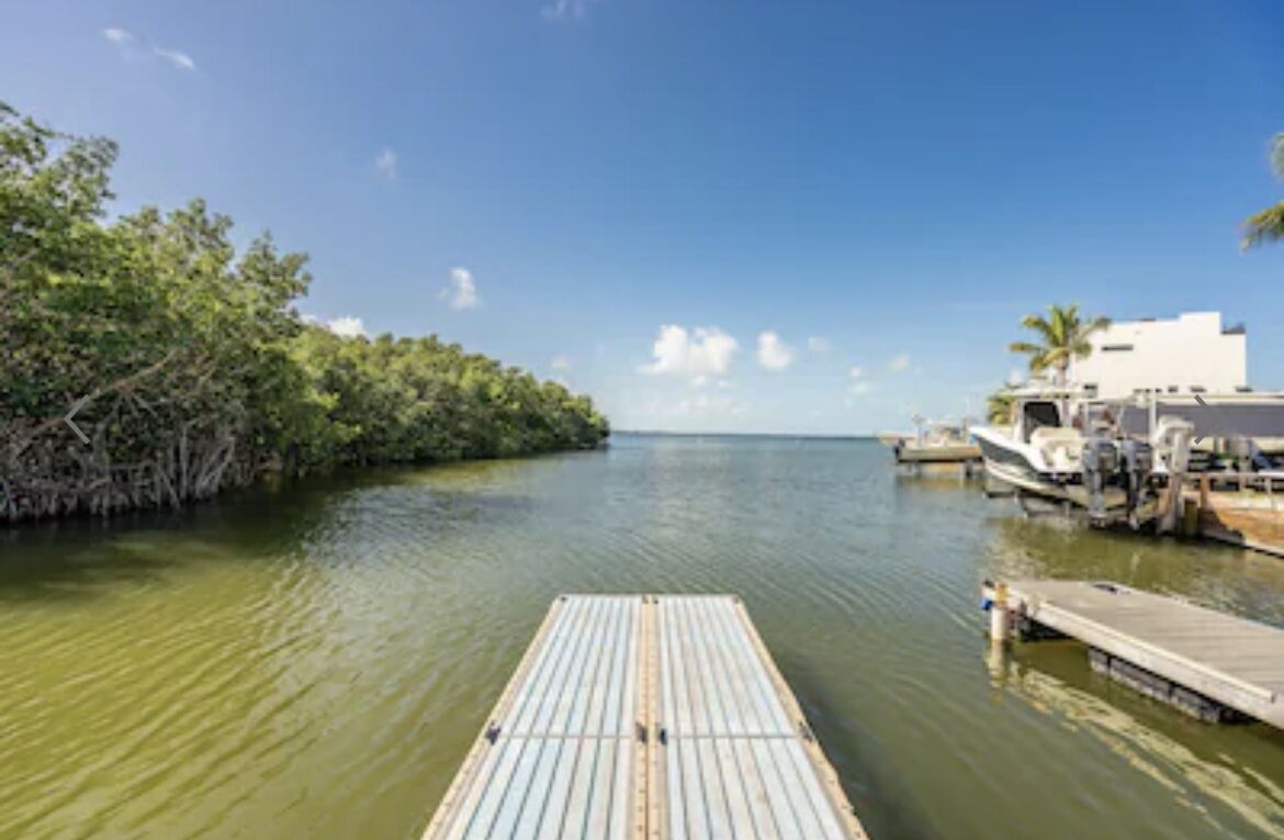 A dock extending into calm water with a clear sky and dense mangrove trees on the left.