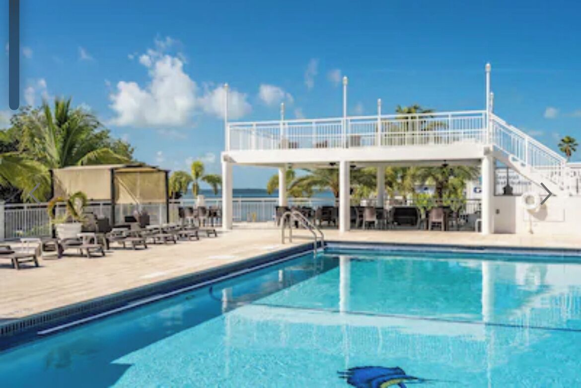 A swimming pool with a white deck, lounge chairs, and a covered area.