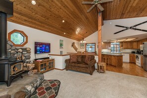 TV, fireplace, video-game console, DVD player