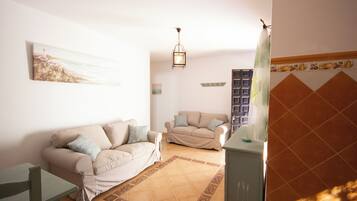 TV connectée, cheminée, livres