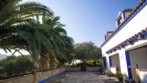 A courtyard with stone flooring, a white building with blue trim, and a palm tree. - Finca La Cantarera Tarifa -Poniente apartment - Reconnect with yourself + nature (Tarifa)