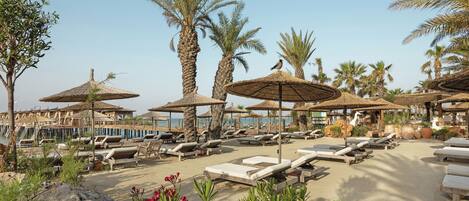 A beachside resort with sun loungers, palm trees, and thatched umbrellas.
