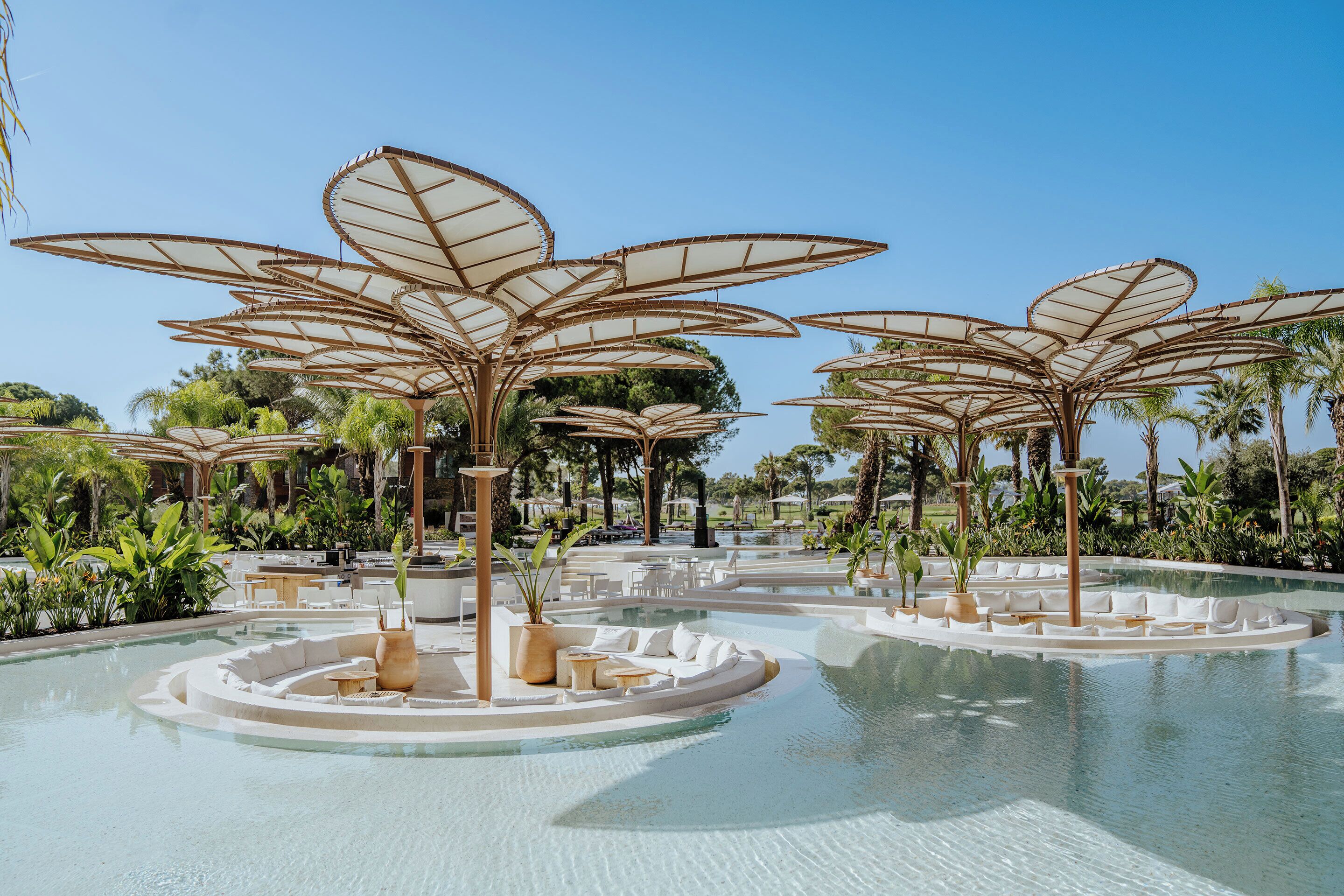 Un área de piscina con varias tumbonas y sombrillas, rodeada de exuberante vegetación y palmeras.
