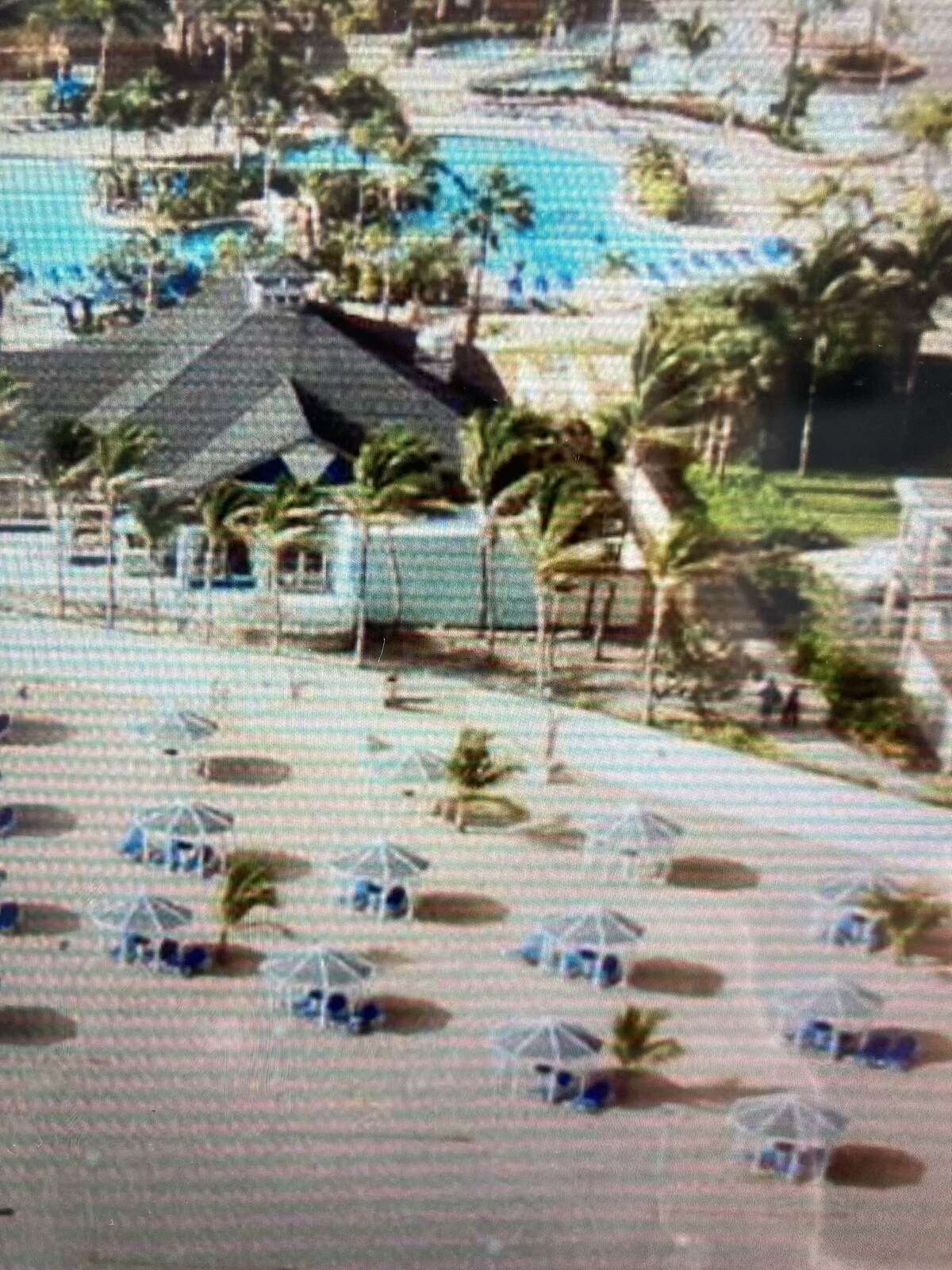 オーナーのプロフィール画像