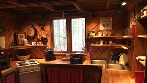 Una cocina acogedora con paredes de madera, una estufa, un fregadero y diversos utensilios de cocina en estantes.