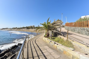 A coastal promenade with a stone wall, palm trees, and a metal railing overlooking the beach.