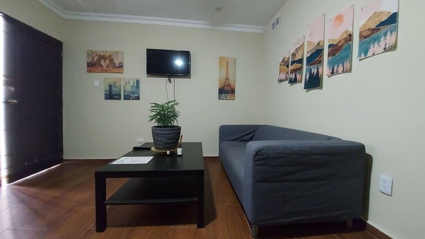 Un salón con un sofá negro, un televisor de pantalla plana y una mesa de centro con una planta en maceta.