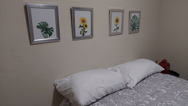Une chambre à coucher avec un lit, des oreillers blancs et quatre reproductions botaniques encadrées accrochées au mur.