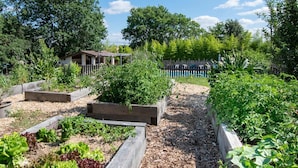 Un jardín con bancales elevados, una estructura de madera y una cerca.