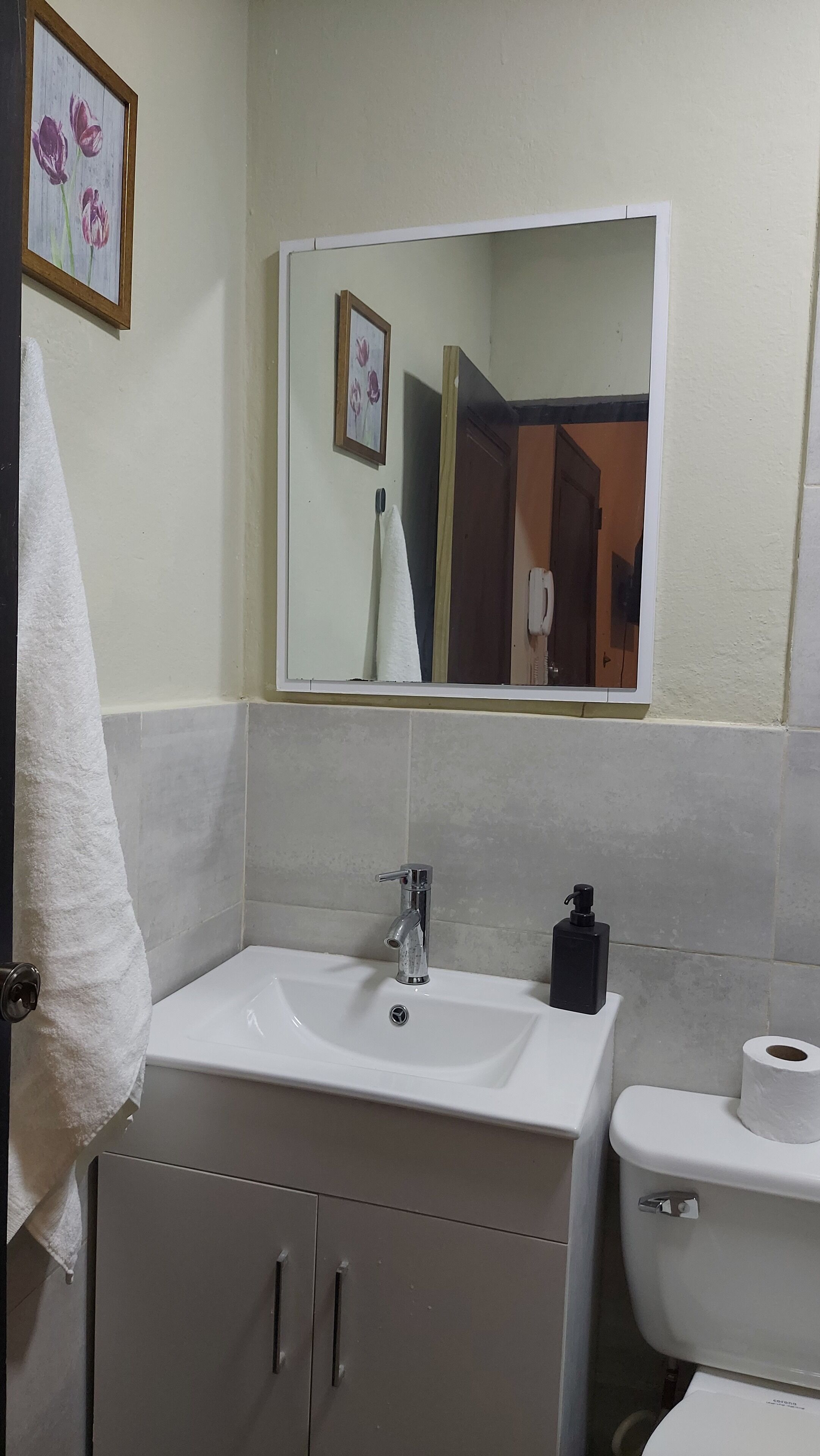 Ducha, toallas, jabón y papel higiénico
