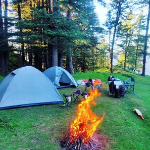 BBQ/picnic area
