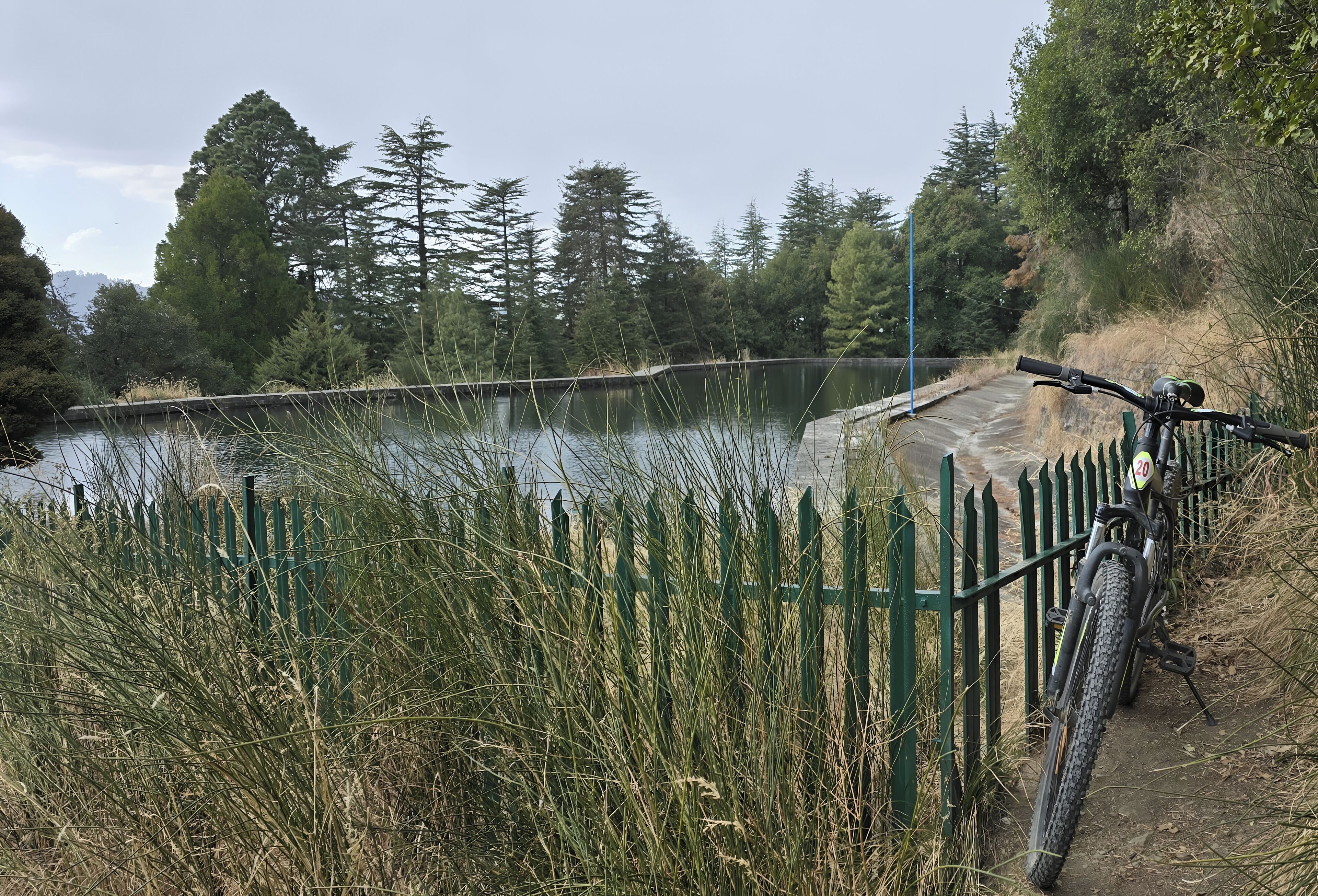 A bicycle parked by a green fence overlooking a calm lake, surrounded by tall trees and a clear sky.