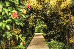 Property grounds - Stay in the best located Vacation Condo in Jaco! (Jacó)