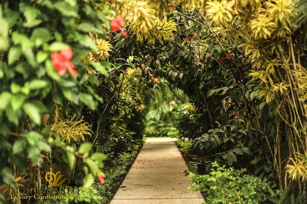 Terrein van de accommodatie