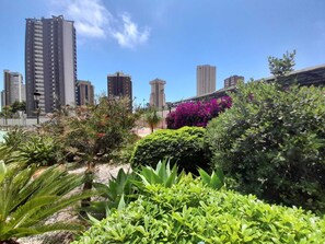 Àrea exterior de l'allotjament