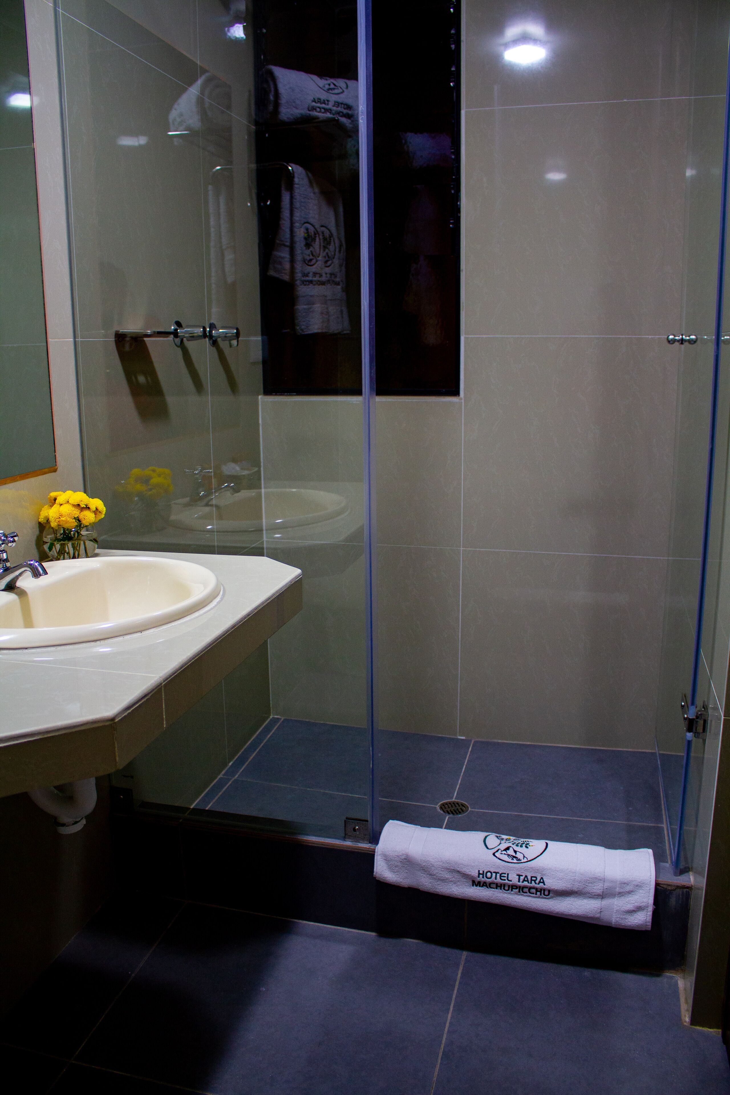 shower, rainfall showerhead, hair dryer, towels