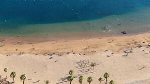 An aerial view of a beach with clear blue water, sandy shore, and palm trees.