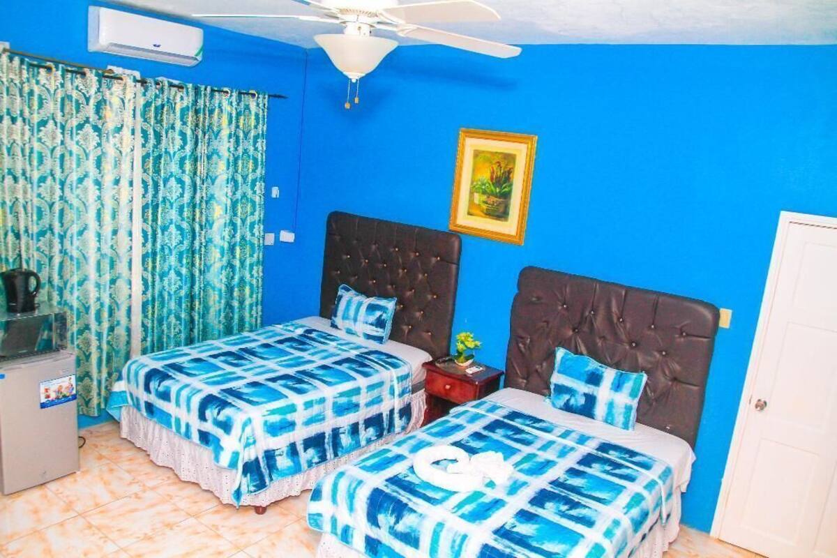 Une chambre avec deux lits, un ventilateur de plafond, un radiateur et une porte.