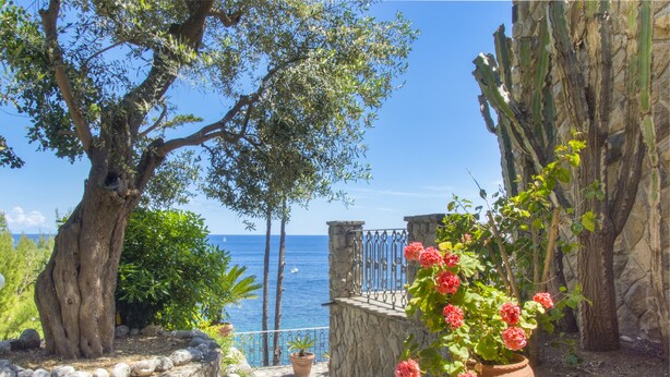 外觀