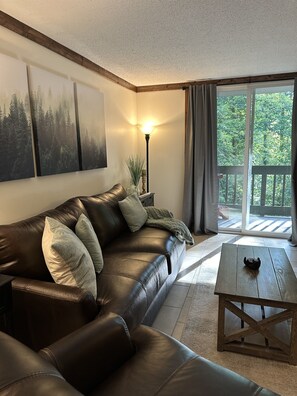 Smart TV, caminetto, libri