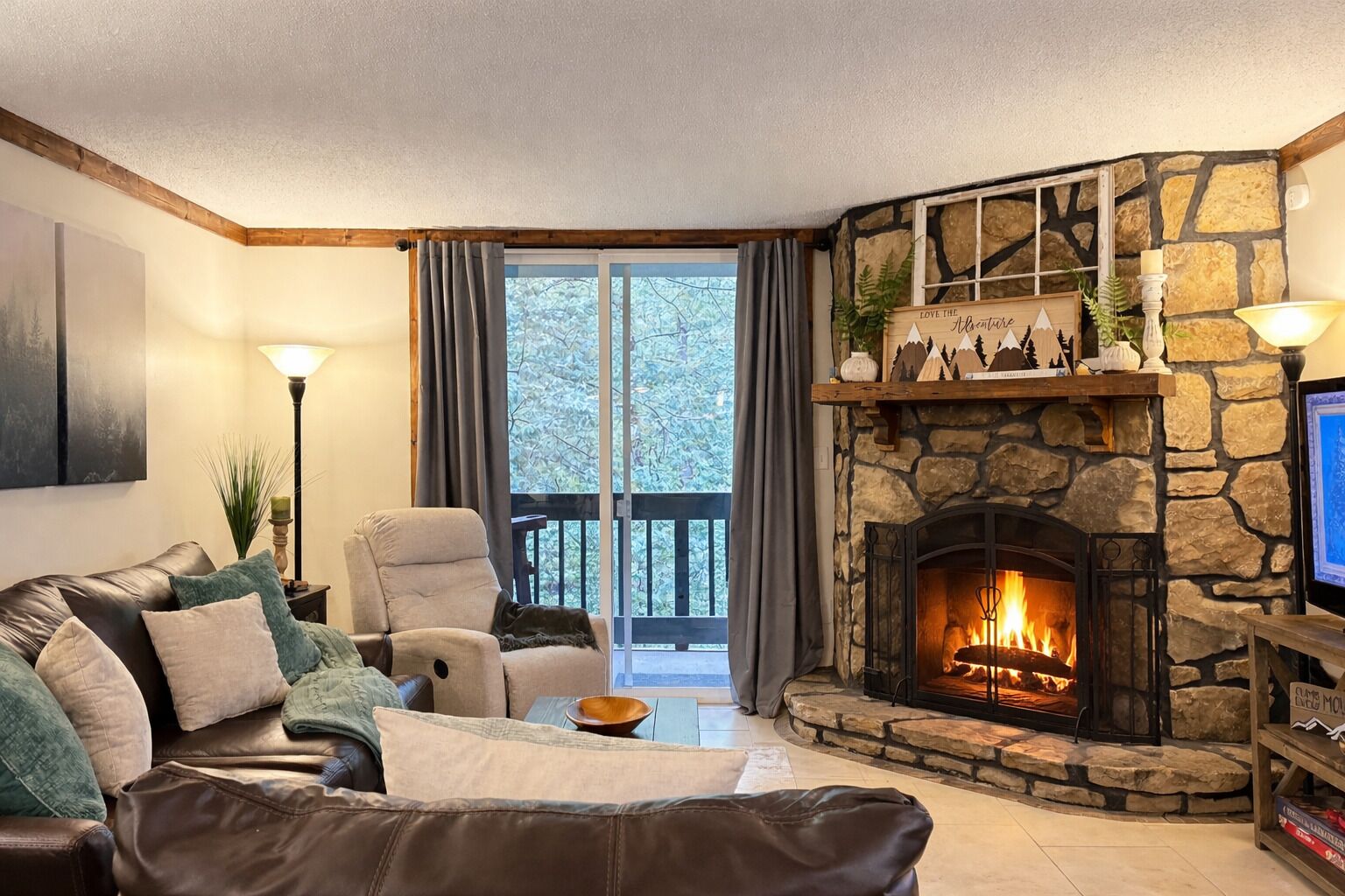 Smart TV, fireplace, books