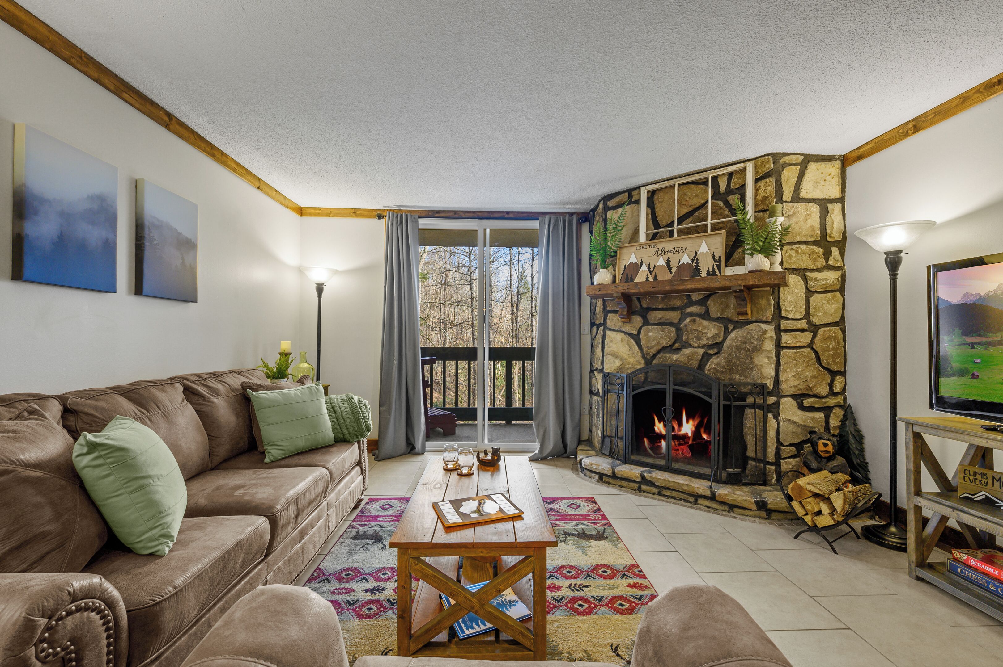 Smart TV, fireplace, books