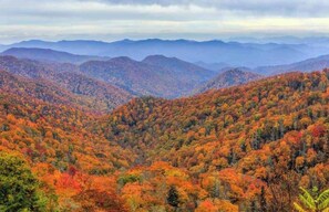 Miscellaneous - Cozy creekside condo |pool | close to GSMNP & Ober (Gatlinburg)