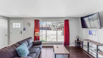 Télévision, cheminée, espaces bureaux