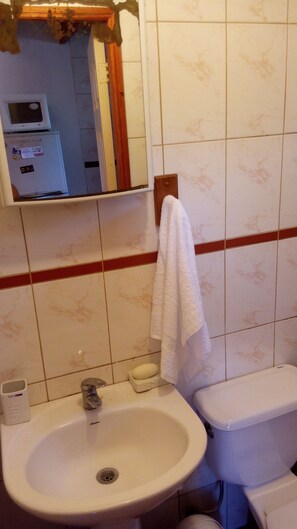 Klassiek huisje | Badkamer | Een douche, handdoeken