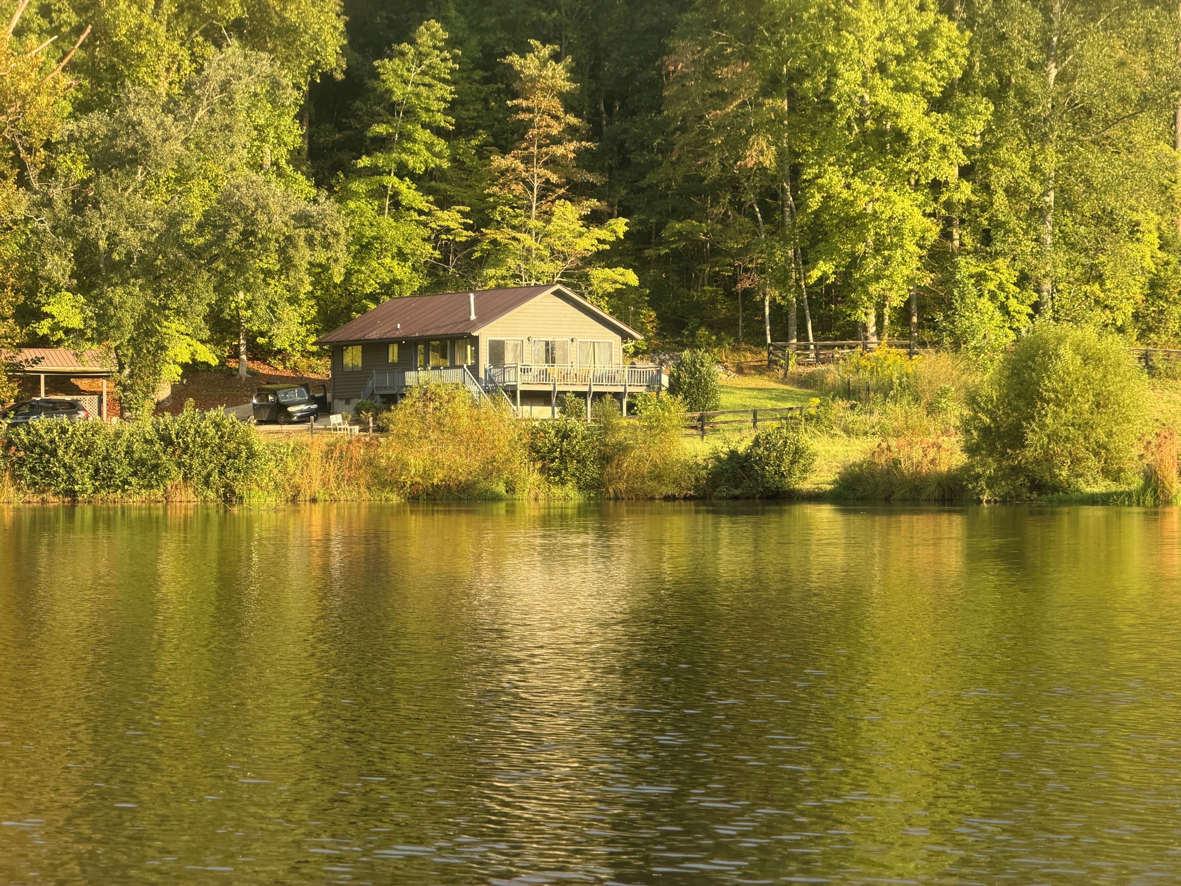 A lakeside cabin with a deck and a covered porch, surrounded by dense forest.