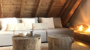 Televisor intel·ligent, llar de foc, llibres i estèreo