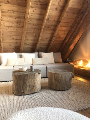 Smart TV, chimenea, libros y estéreo