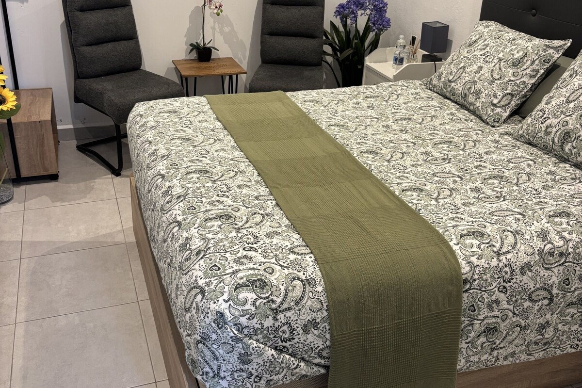 Une chambre moderne avec un grand lit, deux fauteuils, une petite table sur laquelle est posée une plante en pot et une table de chevet avec une lampe.