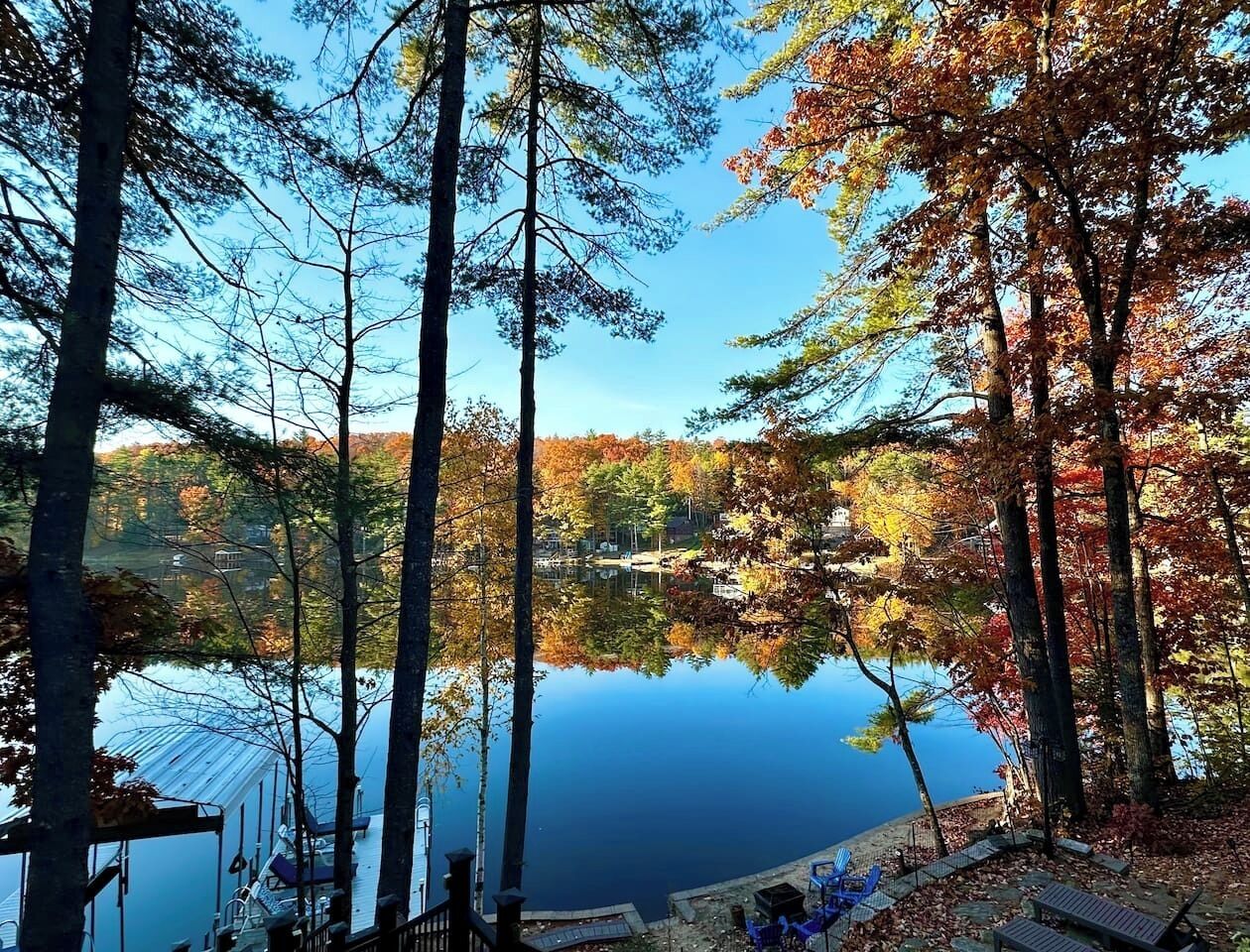 October 22, 2024 stunning fall foliage from the deck!