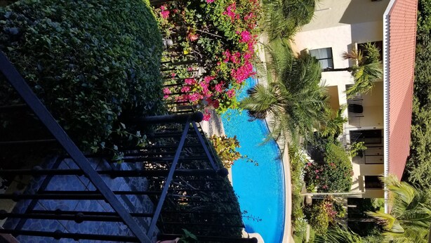 A pool area with a clear view of the pool, surrounded by lush greenery and pink flowers. - 2 Bed 2 Bath condo with pool, full kitchen, in the marine sunset condos. (Playa del coco)