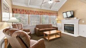 Télévision, cheminée, jeux vidéo, lecteur de DVD