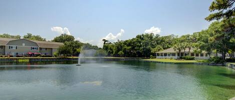 A clear lake with a fountain, surrounded by buildings with a white fence and trees.