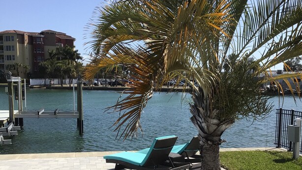 A pool area with lounge chairs, a palm tree, and a view of the water.
