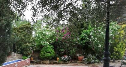 VILLA WITH GARDEN AND SWIMMING POOL, JUNCALVERA WINE ROUTES LAGUARDIA LOGROÑO