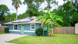 Une maison de plain-pied avec une porte verte, un petit jardin devant et un bananier.