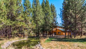 A lodge surrounded by tall pine trees and a small pond.