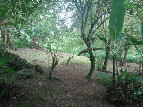 Muris Light Sanctuary