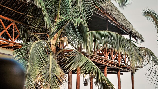Eine Strandhütte aus Holz mit Palmen, einem Reetdach und Blick aufs Meer.