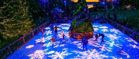 Snow and ski sports